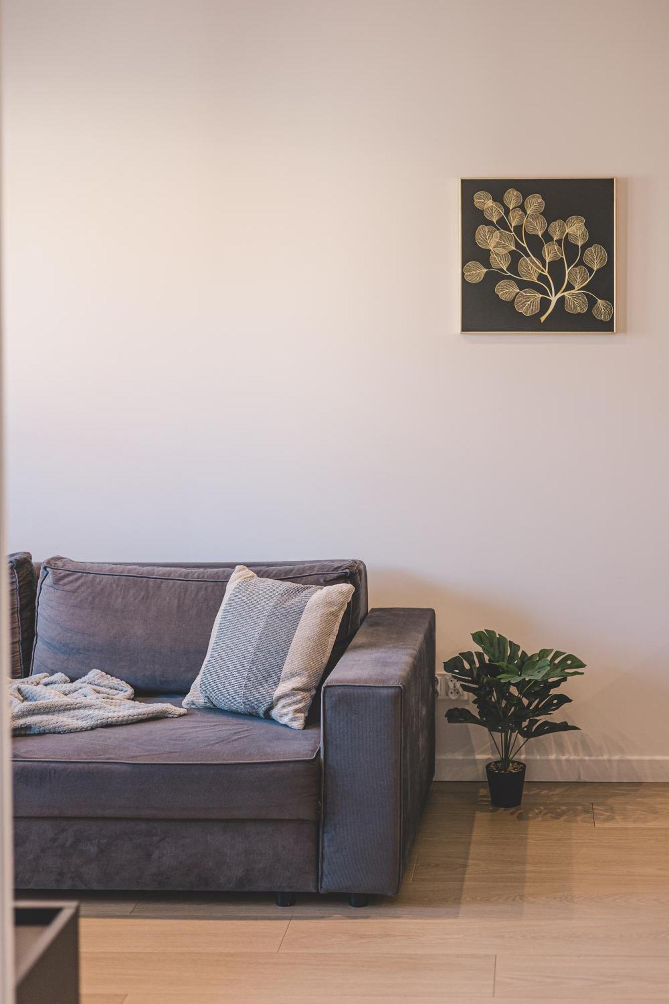 2Homerent Babia Wies 12 比得哥什 外观 照片